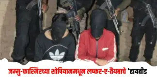 हायब्रीड