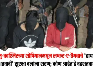 हायब्रीड