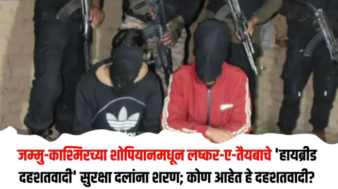 हायब्रीड