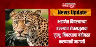 बिबट्याच्या