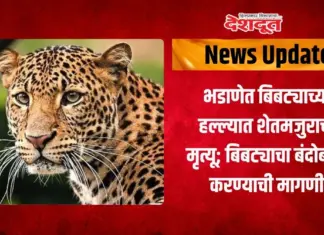 बिबट्याच्या