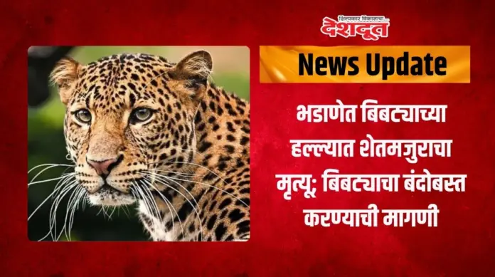 बिबट्याच्या