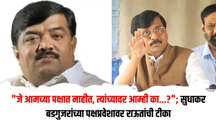सुधाकर