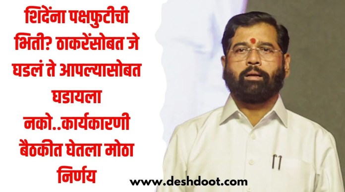 कार्यकारणी