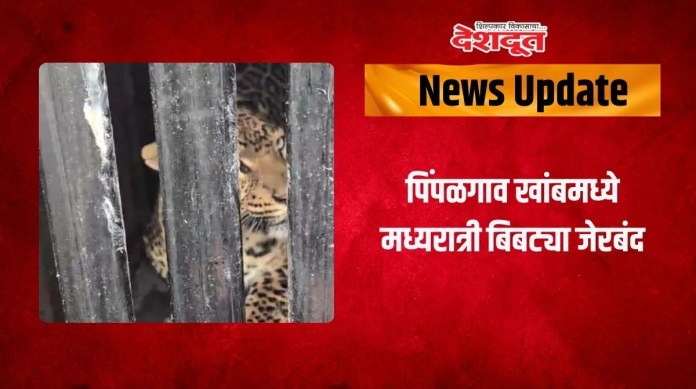 पिंपळगाव