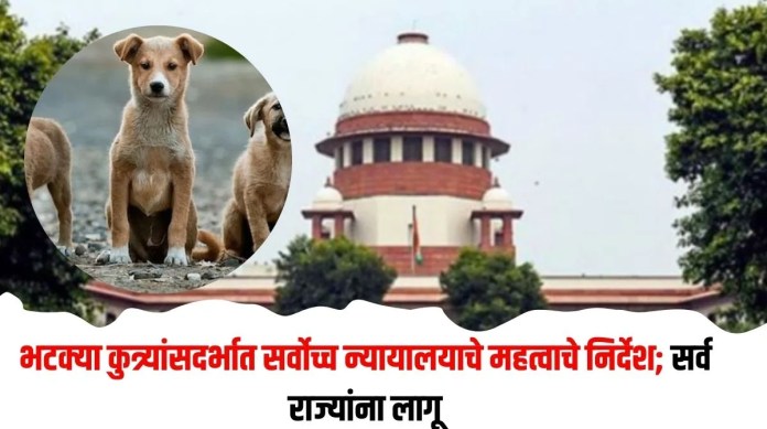 भटक्या