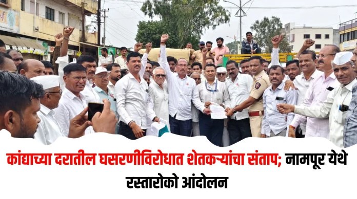 कांद्याच्या