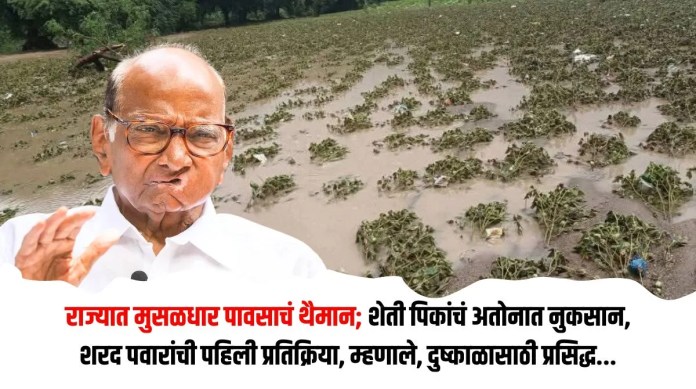 मुसळधार