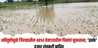 अतिवृष्टीमुळे