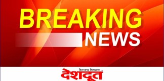 बिबट्याचा