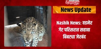 बिबट्या