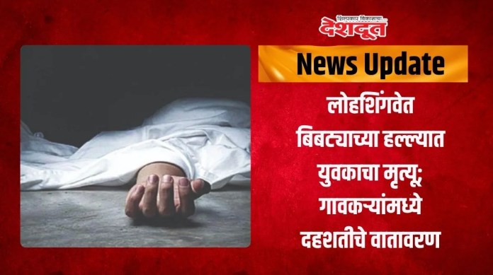 बिबट्याच्या