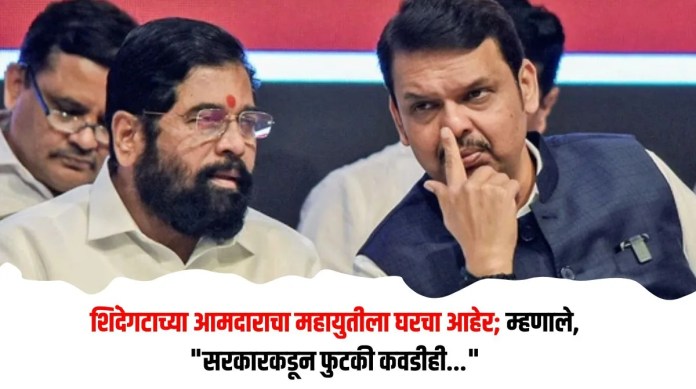 महायुतीला