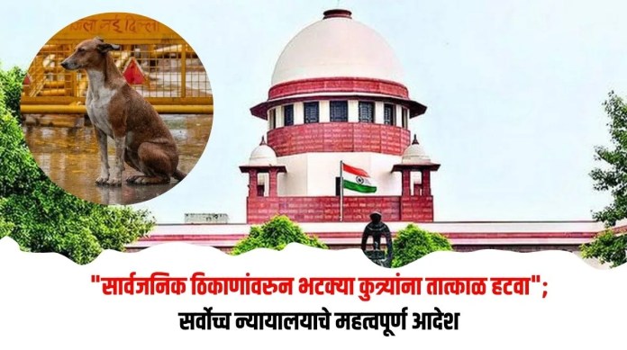 भटक्या