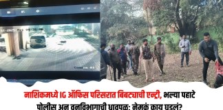 बिबट्याची
