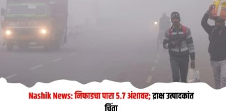 निफाडचा