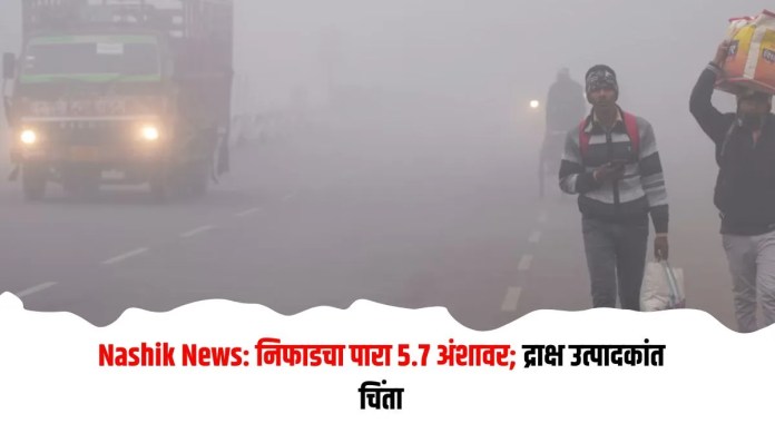निफाडचा