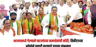 भाजपमध्ये