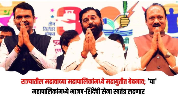 महायुतीत