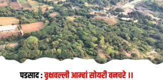 वृक्षवल्ली