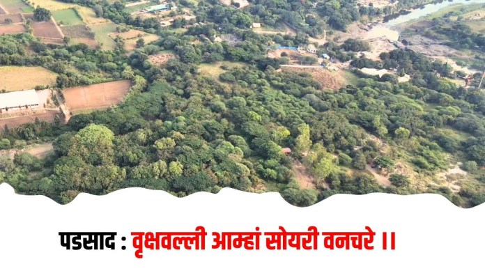 वृक्षवल्ली