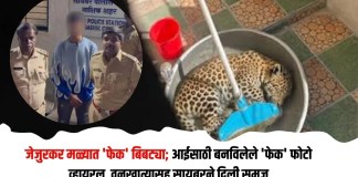 जेजुरकर