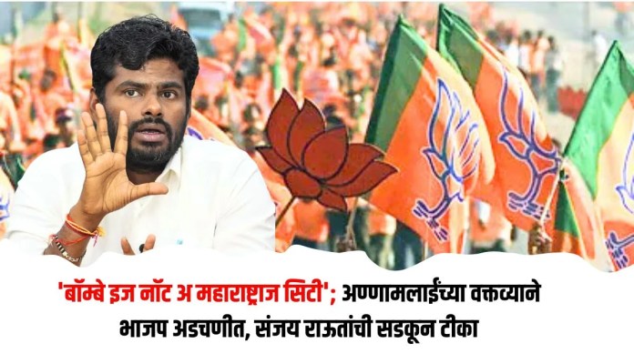 भाजप