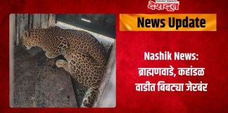 बिबट्या