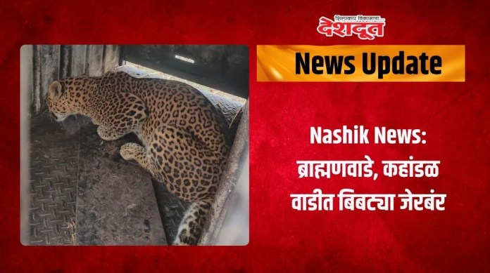 बिबट्या