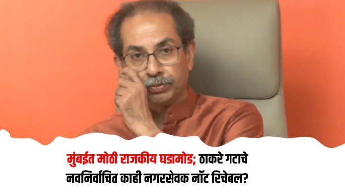 ठाकरे