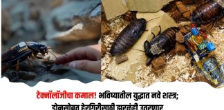 शस्त्र