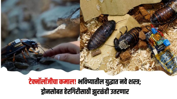 शस्त्र