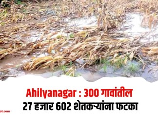 Ahilyanagar : 300 गावांतील 27 हजार 602 शेतकर्यांना फटका
