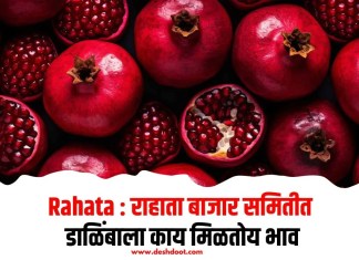 Rahata : राहाता बाजार समितीत डाळिंबाला काय मिळतोय भाव