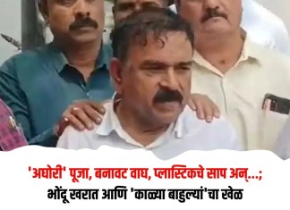 Ashok Kharat Crime: ‘अघोरी’ पूजा, बनावट वाघ, प्लास्टिकचे साप अन्…; भोंदू खरात आणि ‘काळ्या बाहुल्यां’चा खेळ खरात