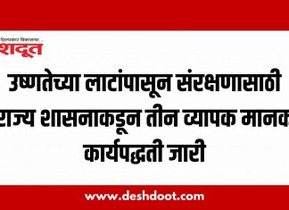 उष्णतेच्या लाटांपासून संरक्षणासाठी राज्य शासनाकडून तीन व्यापक मानक कार्यपद्धती जारी