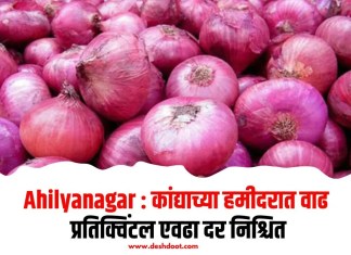Ahilyanagar : कांद्याच्या हमीदरात वाढ; प्रतिक्विंटल एवढा दर निश्चित