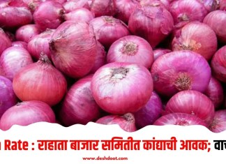 Onion Rate : राहाता बाजार समितीत कांद्याची आवक; वाचा भाव