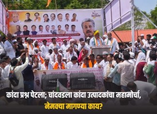 कांदा