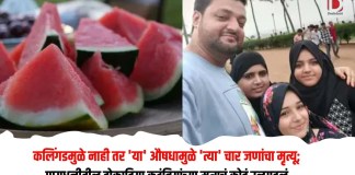 डोकाडिया