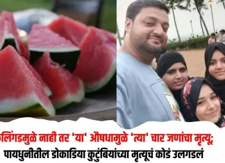 डोकाडिया