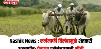संग्रहित छायाचित्र