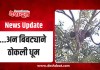…अन बिबट्याने ठोकली धूम