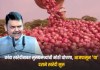 कांदा