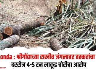 Shrigonda : श्रीगोंद्याच्या राखीव जंगलावर तस्करांचा घाला!