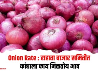 Onion Rate : राहाता बाजार समितीत कांद्याला काय मिळतोय भाव