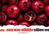 Rahata : राहाता बाजार समितीतील डाळिंबाचा वाचा भाव