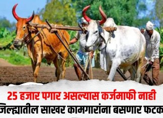 Maharashtra Loan Waiver : २५ हजार पगार असल्यास कर्जमाफी नाही; जिल्ह्यातील साखर कामगारांना बसणार फटका