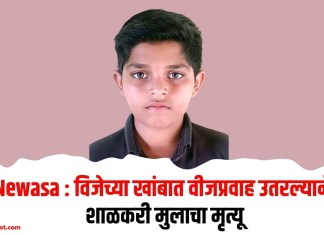 Newasa : विजेच्या खांबात वीजप्रवाह उतरल्याने शाळकरी मुलाचा मृत्यू