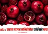 Rahata : राहाता बाजार समितीतील डाळिंबाचे वाचा भाव